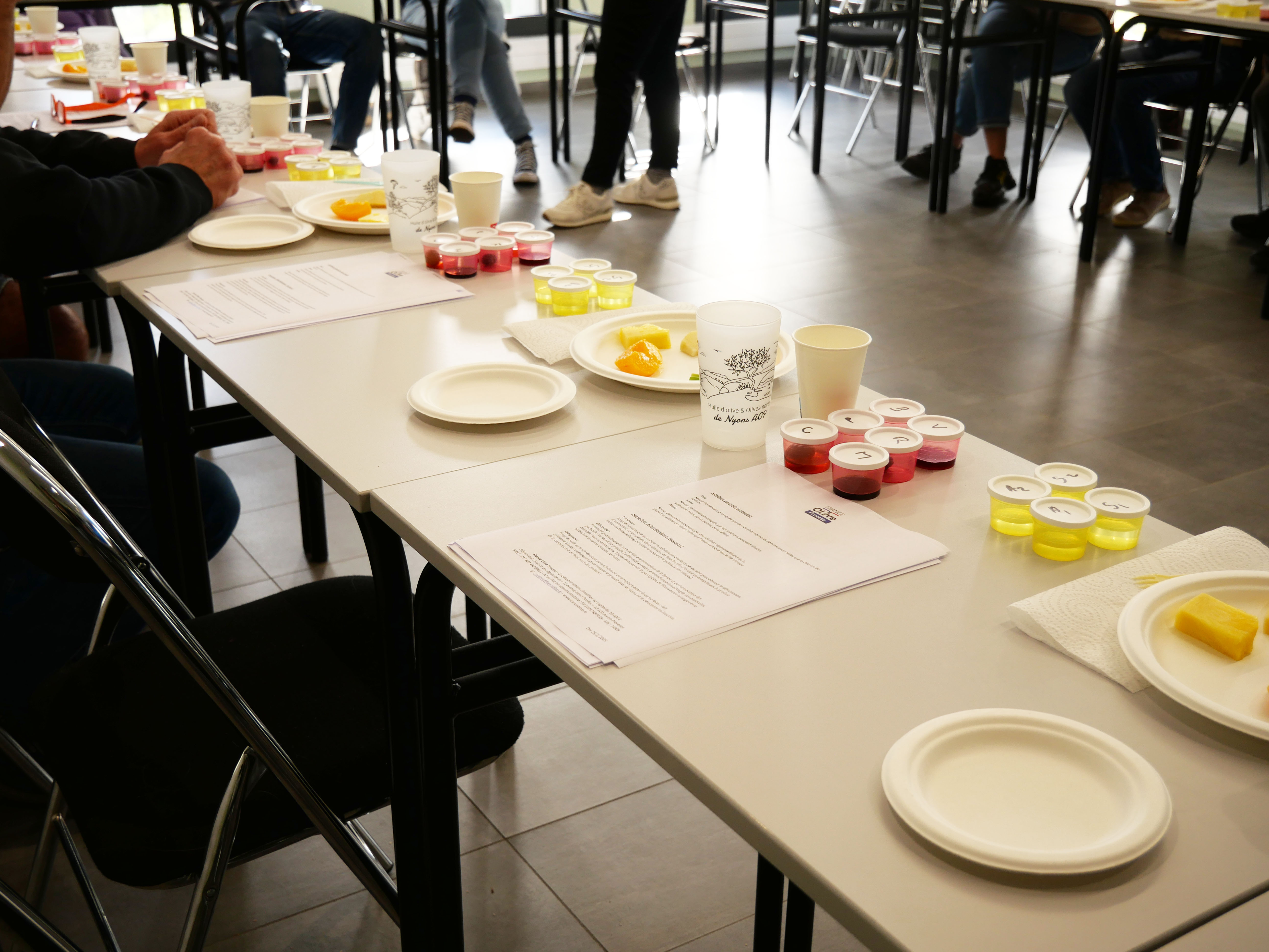 Formation &agrave; la d&eacute;gustation d'olives